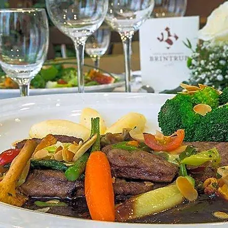 Restaurant Brintrup Hotel Munster (North Rhine-Westphalia)