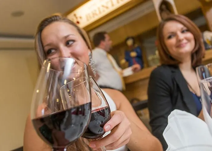 Restaurant Brintrup Hotel Munster (North Rhine-Westphalia)